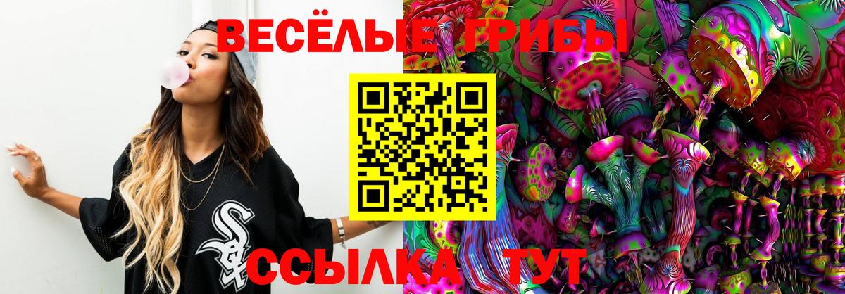Ипатово  Псилоцибиновые грибы мухоморы  Галлюциногенные грибы мицелий  Вход с VPN 